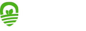 Rice background