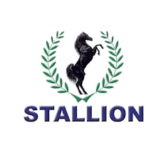 Stallion